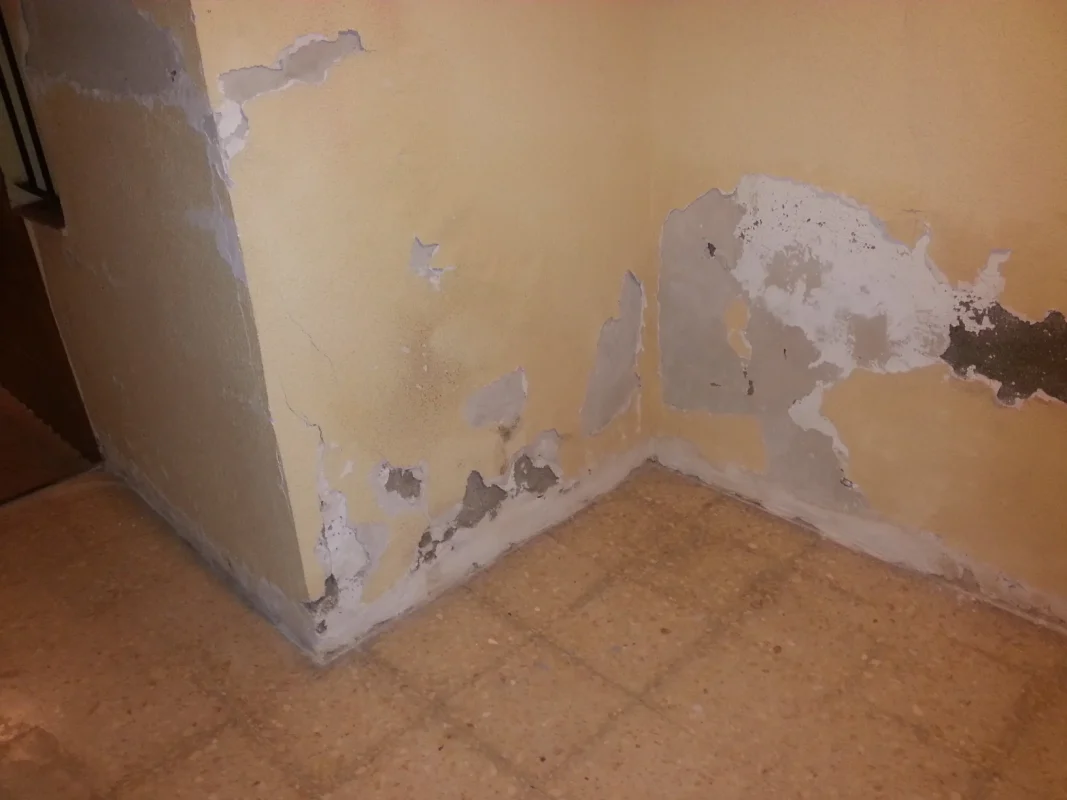 Pared interior con pintura descascarada y humedad ascendente desde el suelo