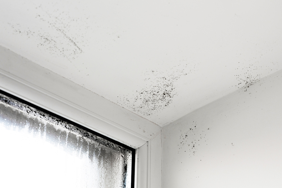Ventana con vidrios empañados y manchas de moho en pared y techo por condensación